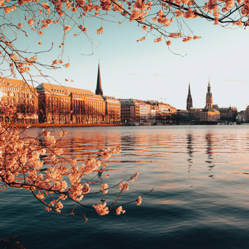 Hamburg im Frühling an der Binnenalster