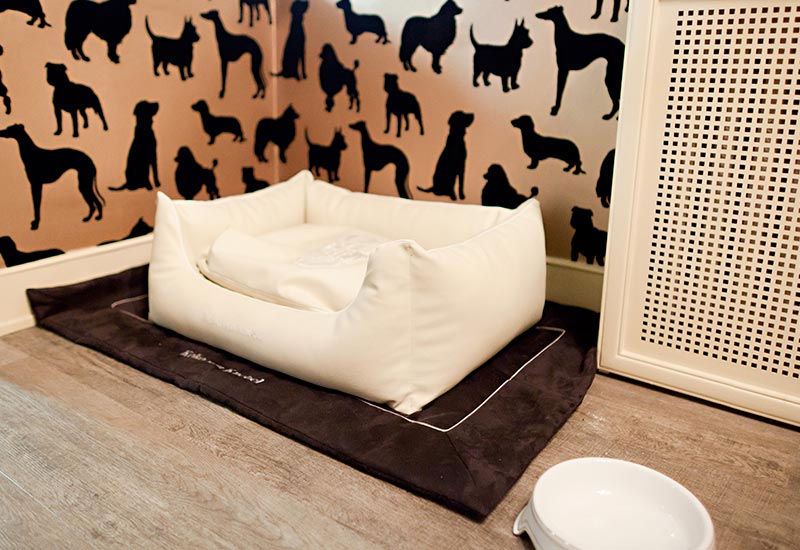 Hundebett in der Hundelounge des Hotel Vier Jahreszeiten in Hamburg